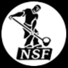 Logo_NSF_234x234