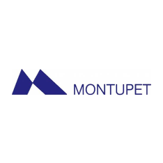 logo_Montupet_234x234