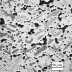 Logo_Micosegregation
